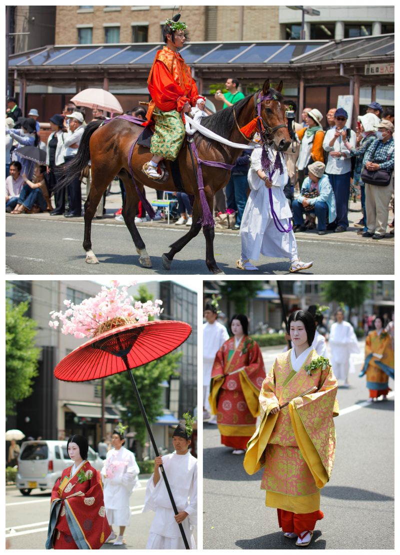 aoi matsuri